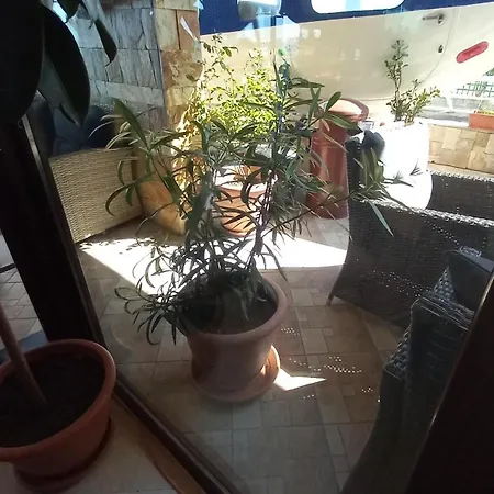 Готель Blian